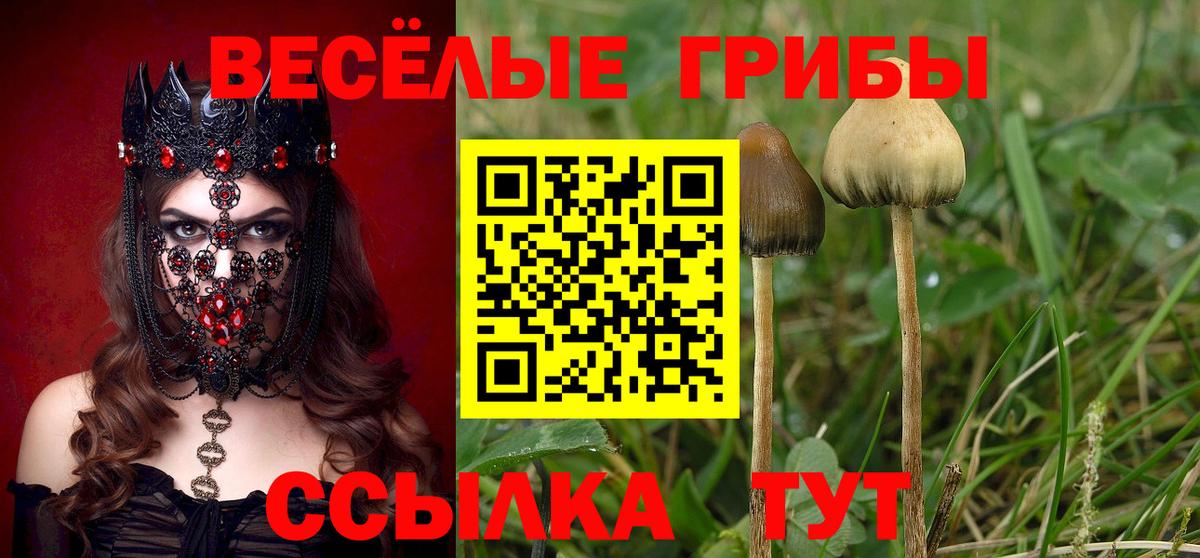 Псилоцибиновые грибы мухоморы Мегион